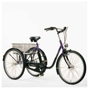 Haverich Dreirad 26 TEK für Erwachsene Spezialfahrrad für Therapie und Alltagsmobilität