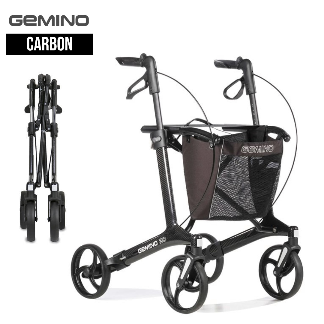 Gemino 30 Carbon 1
