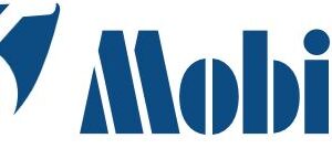 Kofferrampe 76 cm breit, Rampe mit rutschfestem Belag, einfach faltbar, bis 300kg, 90-150cm Länge wählbar