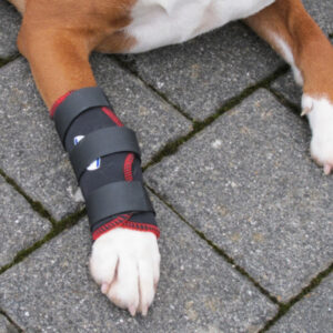 TSM vet-Reha-Bandage Vorderbein ihres Hundes