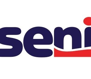 Seni Lady Super (neu), P=15 Stück, atmungsaktive Einlage, neue verbesserte Serie